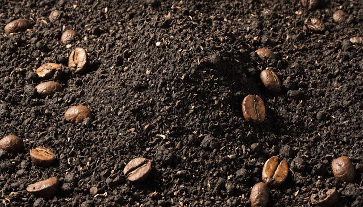 découvrez comment ajouter du marc de café à votre compost améliore la qualité de votre engrais naturel, ses bienfaits pour le sol, et obtenez des conseils pratiques pour l'utiliser efficacement dans votre jardin.