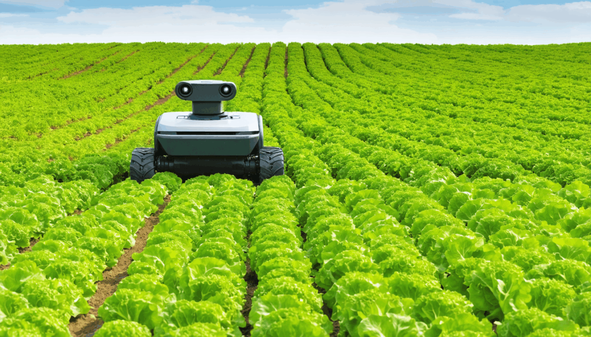 découvrez comment la laitue vireuse peut menacer vos cultures. apprenez à identifier cette plante nuisible et à protéger efficacement votre potager contre ses effets indésirables.