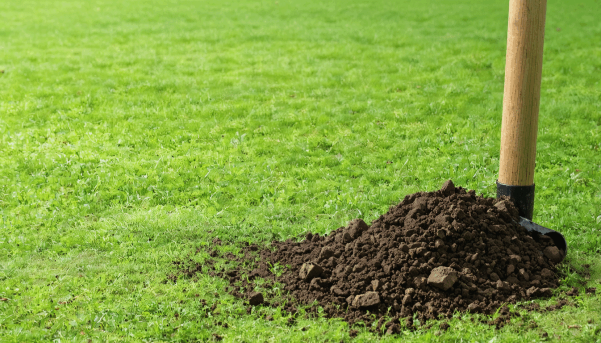 découvrez si les crottes de chien peuvent être ajoutées au compost, les précautions à prendre et les meilleures pratiques pour un compostage sûr et efficace.