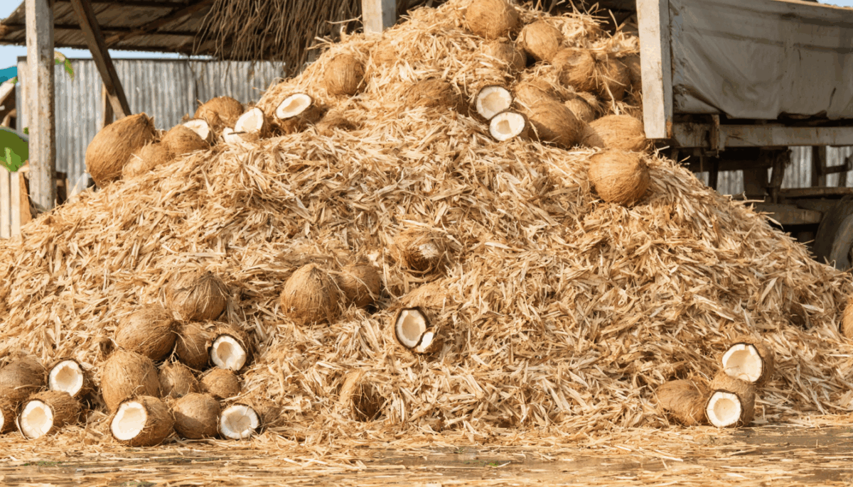 découvrez quels fruits éviter dans votre compost pour préserver l'équilibre de votre composteur et favoriser un compostage efficace.
