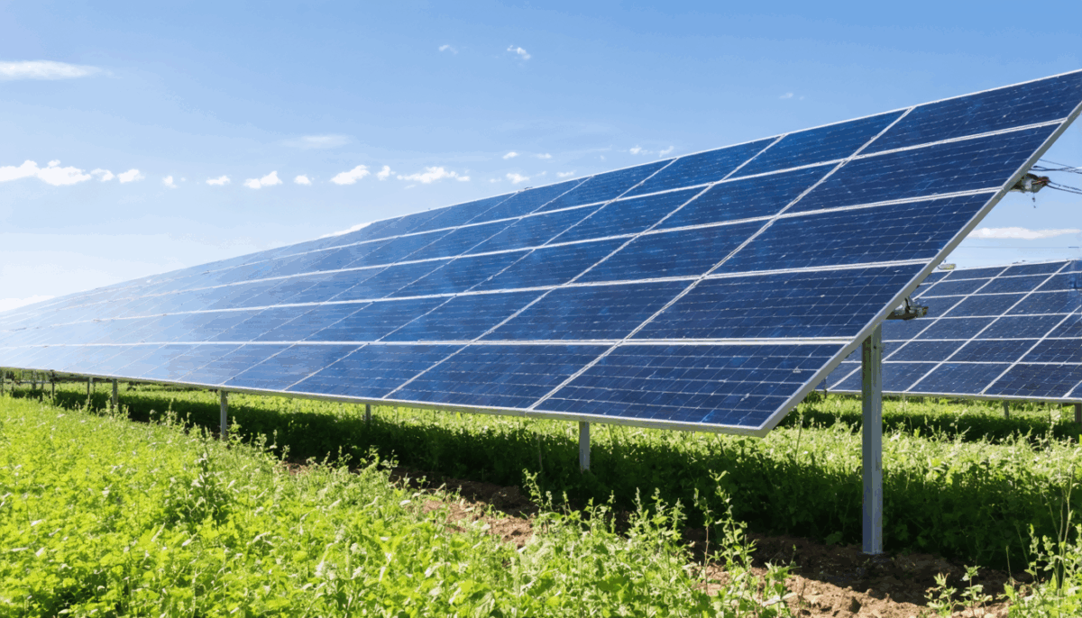 découvrez les avantages et inconvénients de louer votre terrain à edf pour l'installation de panneaux solaires, et comment cette solution peut optimiser vos revenus tout en contribuant à la transition énergétique.