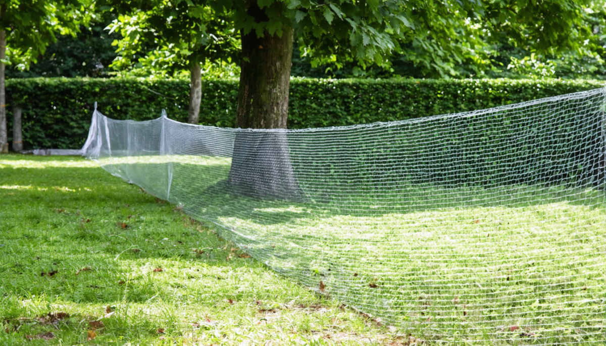 découvrez les causes des trous dans votre jardin et apprenez des solutions efficaces pour les réparer et préserver la beauté de votre espace extérieur.